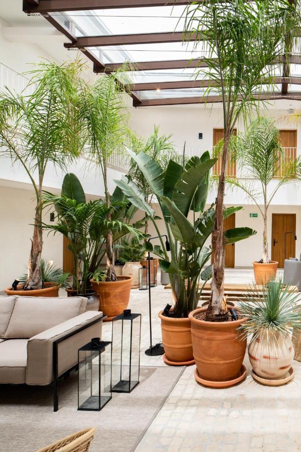 Hotel Porfirio Picota - Adults Recommended Zahara de los Atunes Dış mekan fotoğraf